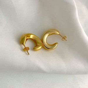 14K Gold Stainless Steel Earrings